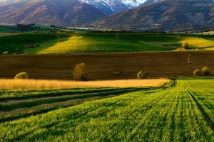 ייזום בקרקעות חקלאיות | יצחק גולדשטיין משרד עורכי דין ונוטריון